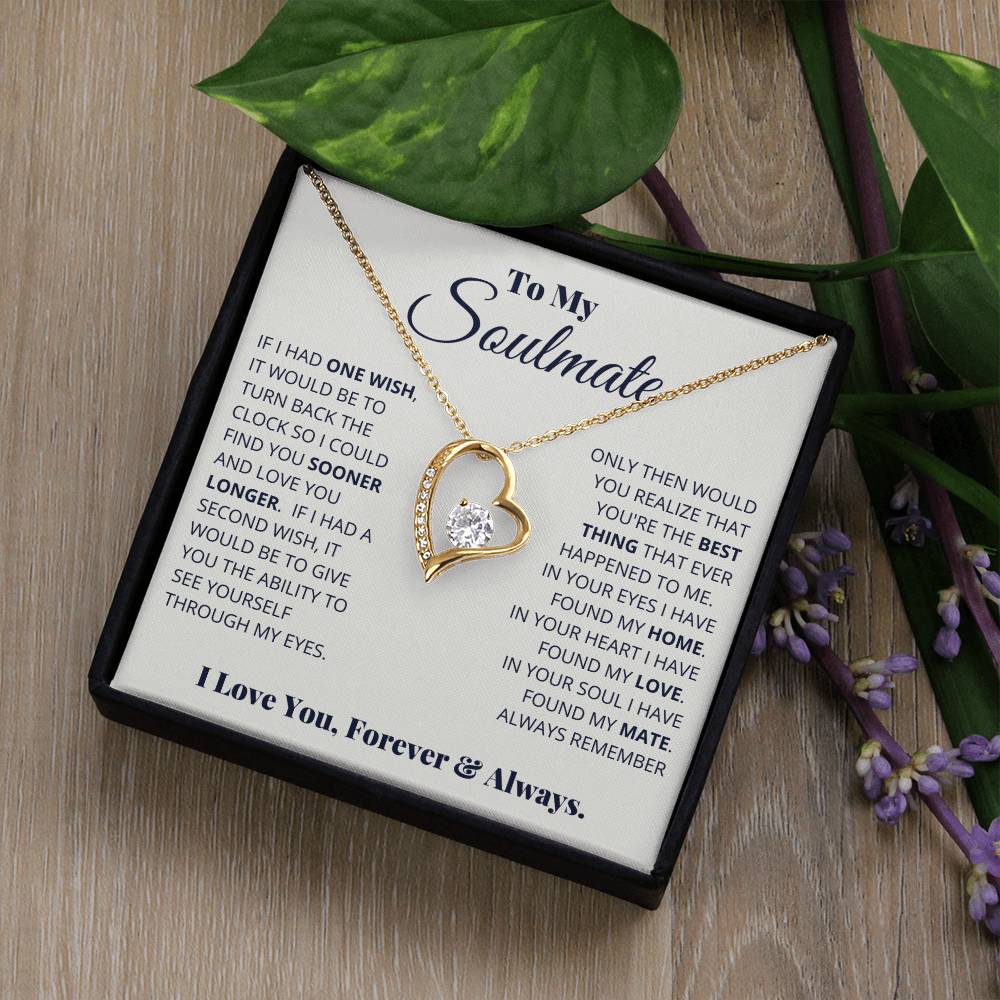 To My Soulmate, I Love You, Forever _ Always White Gold Forever Love Necklace